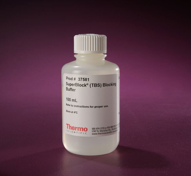 Invitrogen™Western 印迹和核酸膜及滤纸、通