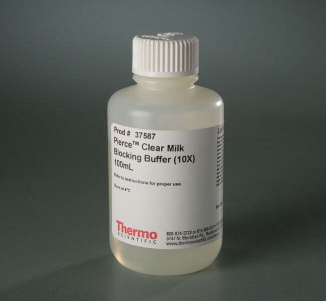 Invitrogen™Western 印迹和核酸膜及滤纸、通