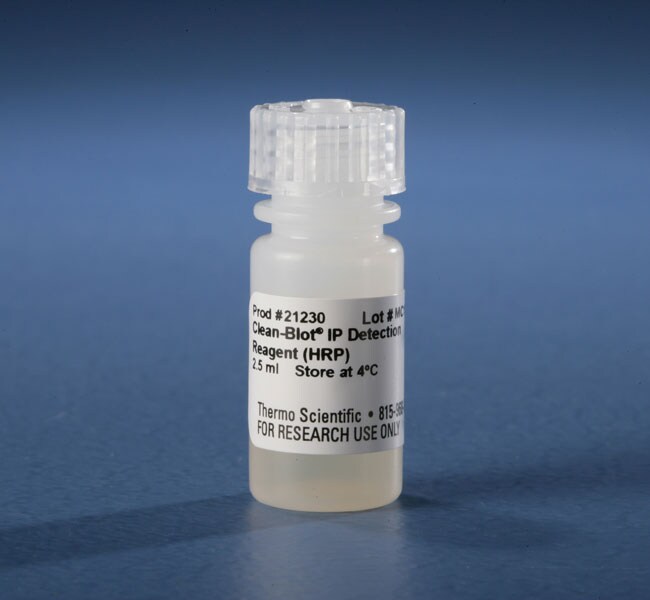 Invitrogen™Western 印迹和核酸膜及滤纸、通