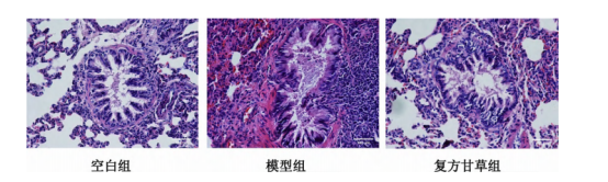  动物肺部定量雾化器在肺部纤维化和慢支疾病方面的应用 