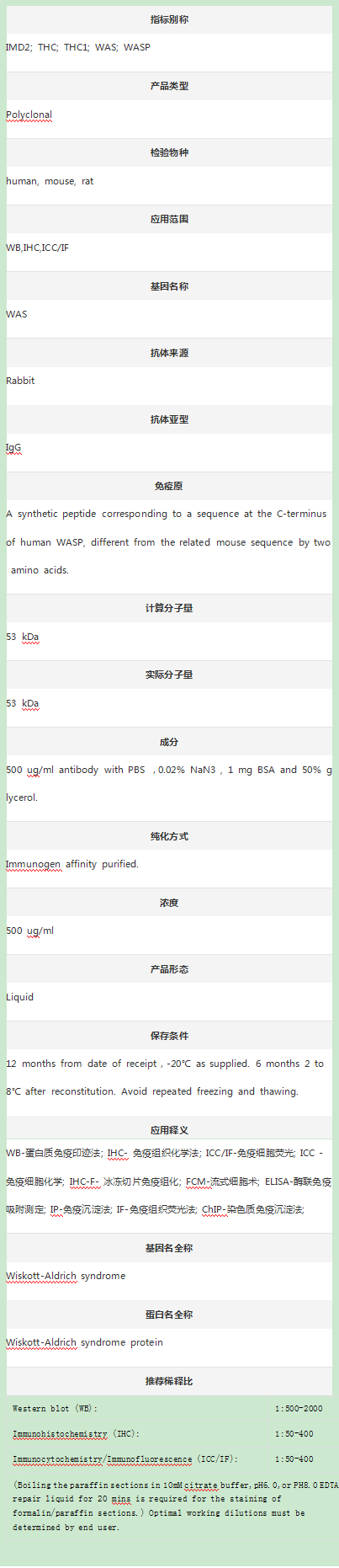 Anti-WASP/WAS Antibody