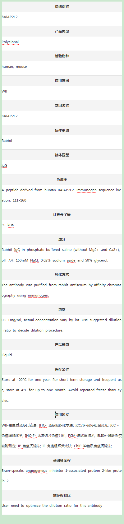 Anti-BAIAP2L2 Antibody