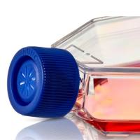 Thermo Scientific 细胞培养瓶、锥形瓶、容量瓶、过滤瓶等系列产品