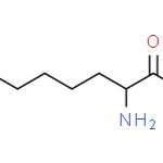 DL-ALPHA-氨基羊脂酸
