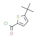 5-叔丁基噻吩-2-羧酸