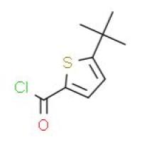 5-叔丁基噻吩-2-羧酸