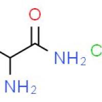 2-氨基丙酰胺盐酸盐