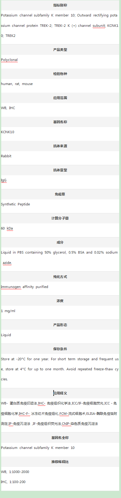 Anti-TREK-2/KCNK10 Antibody