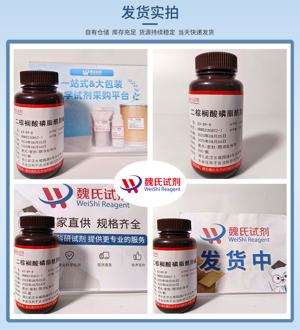 二棕榈酰基卵磷脂