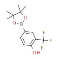 4-羟基-3-三氟甲基苯硼酸频哪醇酯