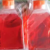 结直肠腺癌细胞COLO201