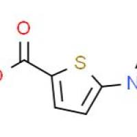 5-硝基-噻吩-2-甲酸甲酯
