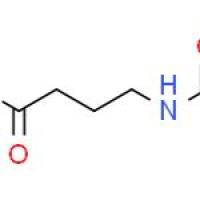 4-乙酰氨基丁酸
