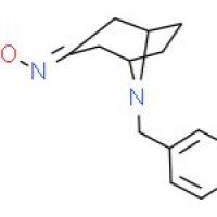 N-苄基托品酮肟