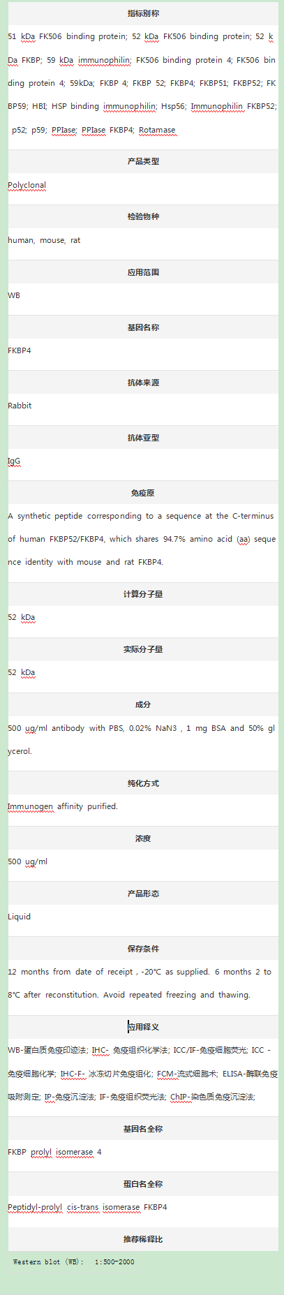 Anti-FKBP52/FKBP4 Antibody