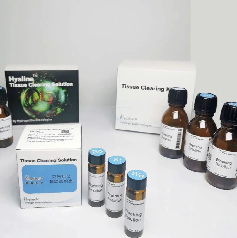 组织透明化荧光标记辅助试剂盒