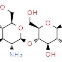 壳聚糖寡糖乳酸