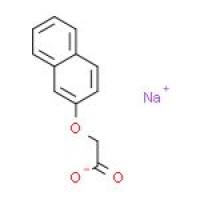 2-萘氧乙酸钠