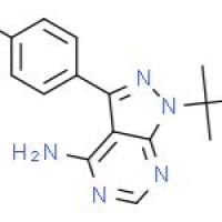 蛋白磷酸酯酶-1(抗原)