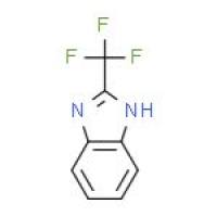 2-(三氟甲基)苯并咪唑