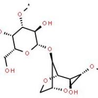 琼脂糖(西班牙)