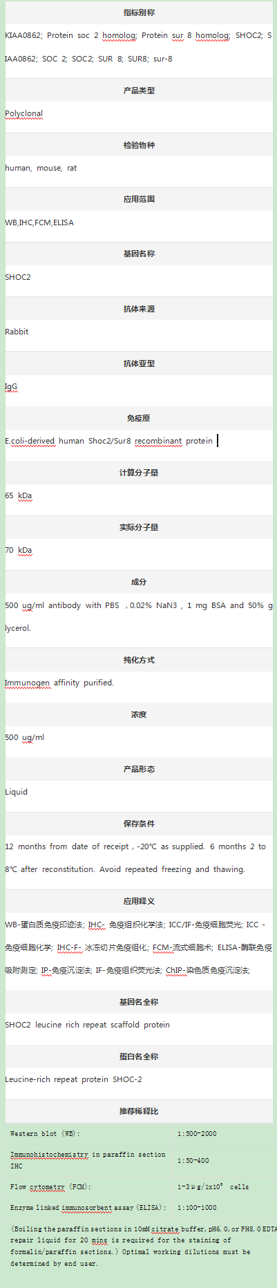 Anti-Sur-8/SHOC2 Antibody