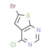 6-溴-4-氯噻吩[2,3-D]嘧啶