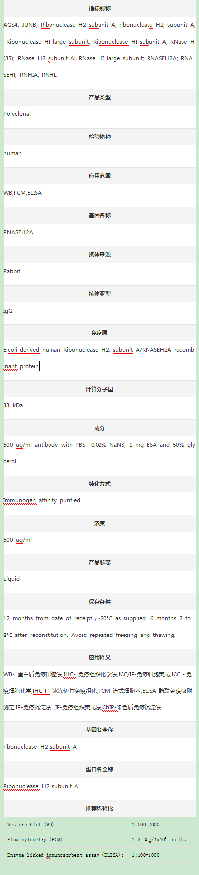 Anti-RNASEH2A Antibody
