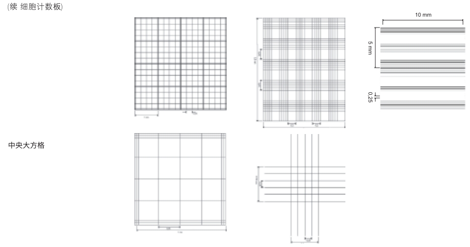 BRAND®细胞计数板