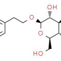 (2R,3S,4S,5R,6R)-2-(羟甲基)-6-苯乙氧基四氢-2H-吡喃-3,4,5-三醇
