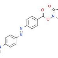 4-[4-(二甲基氨基)苯偶氮]苯甲酸 N-丁二酰亚胺酯