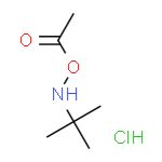 O-乙酰基-N-叔丁基羟胺盐酸盐
