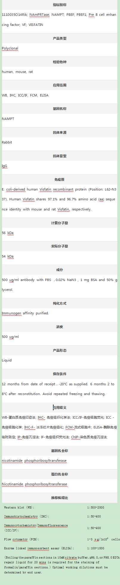 Anti-PBEF/NAMPT Antibody