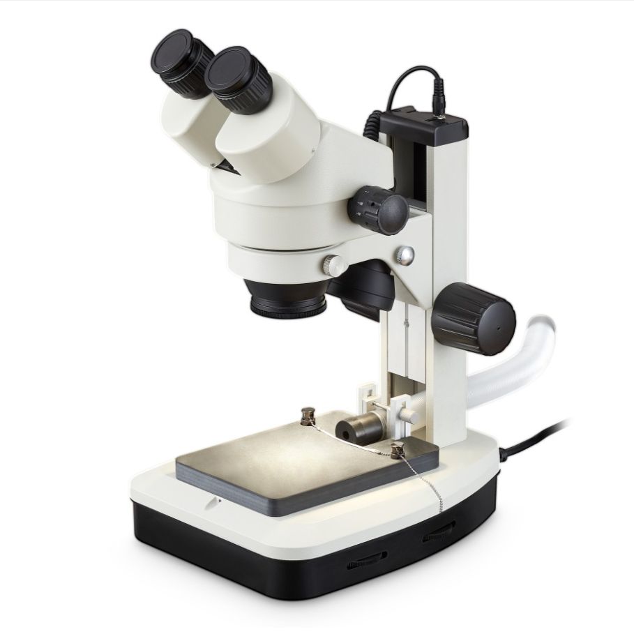 小鼠手术显微镜