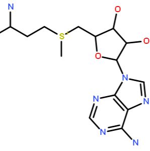 S-腺苷基-L-蛋氨碘盐