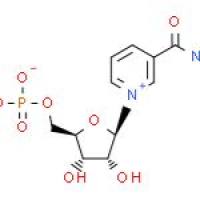 β-烟酰胺单核苷酸
