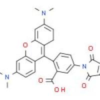 四甲基罗丹明-5-马来酰亚胺
