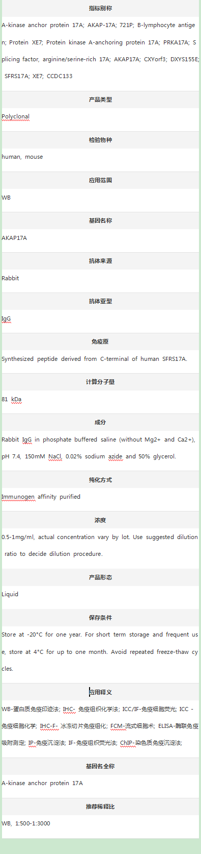Anti-SFRS17A/AKAP17A Antibody