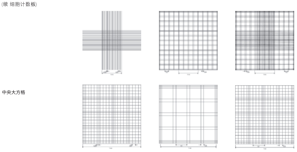 BRAND®细胞计数板