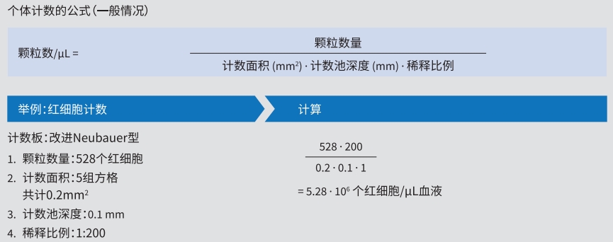 BRAND®细胞计数板