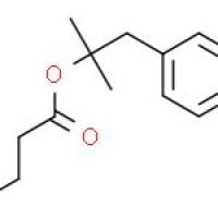丁基二甲基苄基原酯