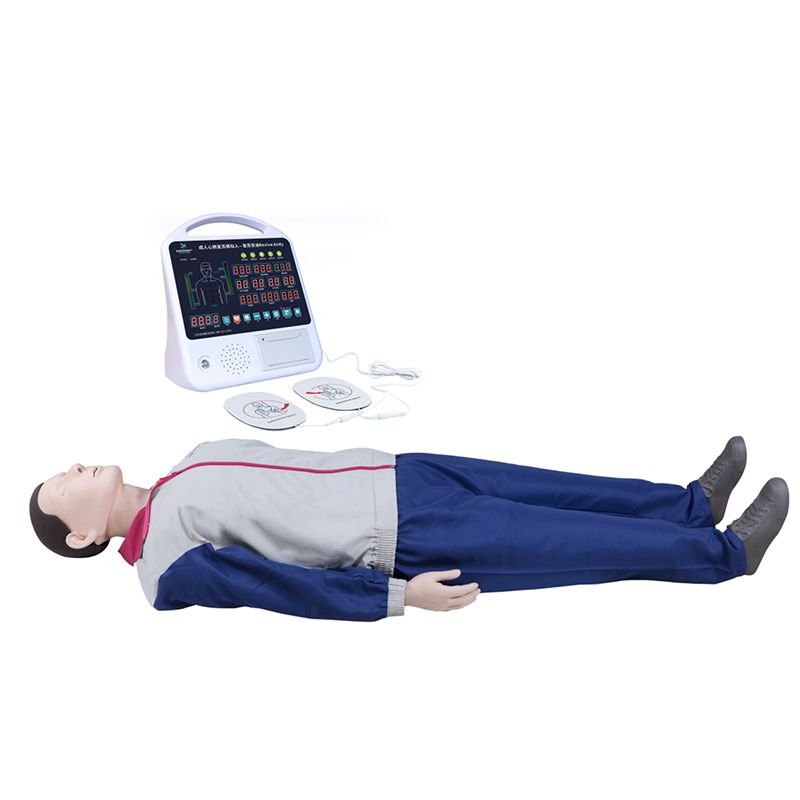 艾米立 成人电子心肺复苏模拟人传感器升级版 IMY1022
