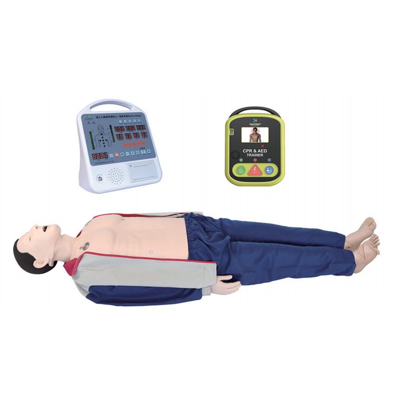 艾米立 自动体外模拟除颤与CPR模拟人训练组合 IMY1018