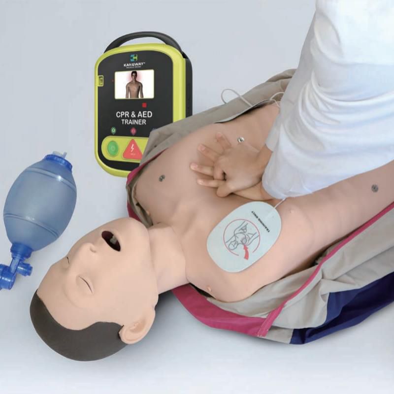 艾米立 高级自动电脑CPR模拟人 IMY1007