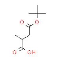 (R)-2-甲基琥珀酸-4-叔丁酯