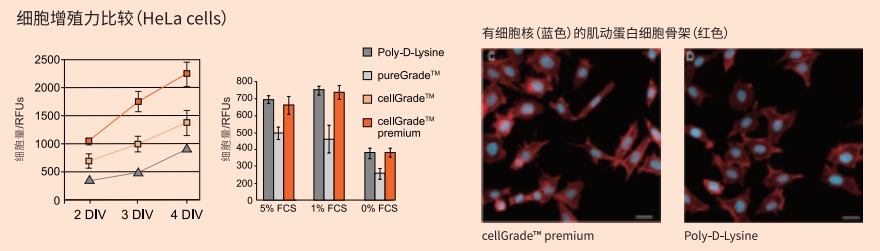 cellGrade™premium微孔板