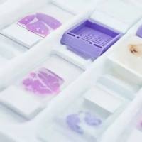 细胞石蜡包埋技术服务