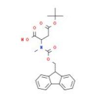 Fmoc-N-甲基-L-天冬氨酸 4-叔丁酯