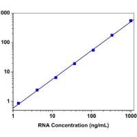 Amplite 荧光法草酰乙酸检测试剂盒 红色荧光