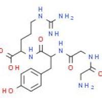 乙氨酸-乙氨酸-酪氨酸-精氨酸